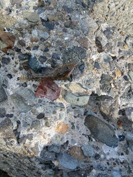 渋すぎるキス!!