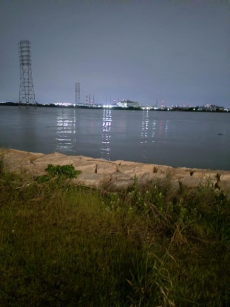 久々のチニング