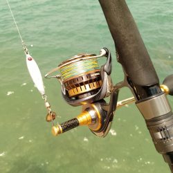 エソじゃなかった♪