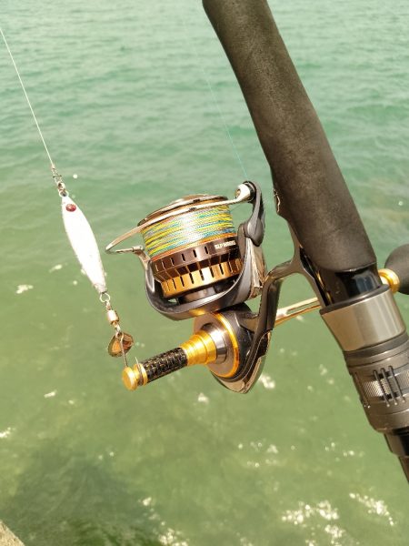 エソじゃなかった♪