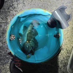 根掛かりを外すと…！