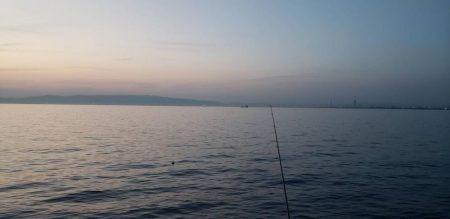 根魚探し@泉大津