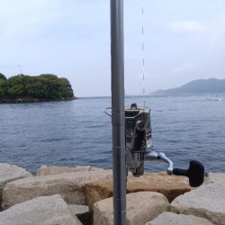 室津のキス釣り