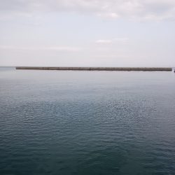 夕マズメサバサビキ