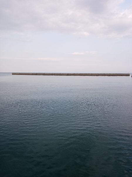 夕マズメサバサビキ