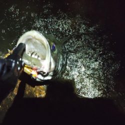 下げの｢分｣今まで逆。この日を境に。