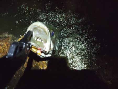 下げの｢分｣今まで逆。この日を境に。