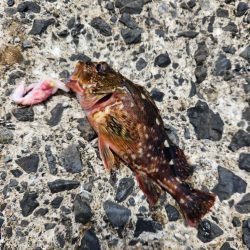 自己記録更新!!