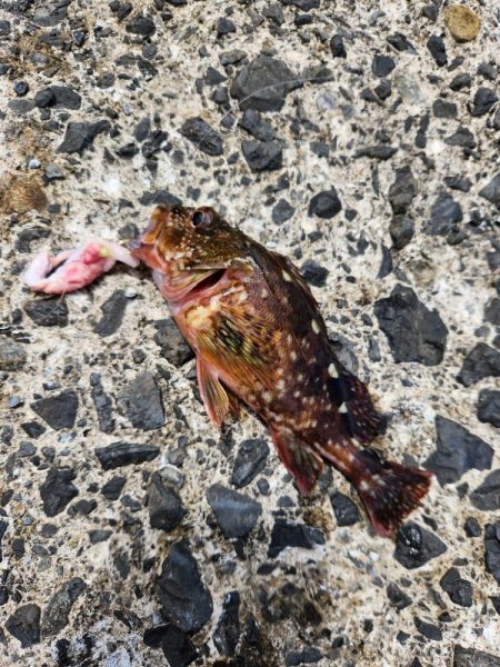 自己記録更新!!