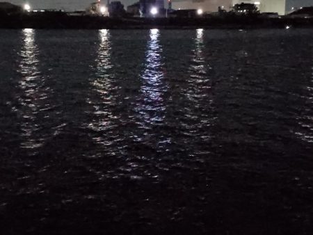 久しぶりの貴重なチヌ1尾