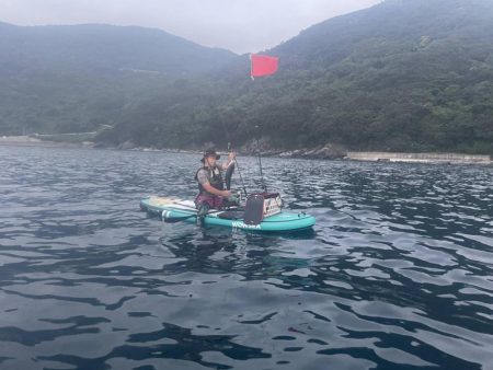 サップジギング