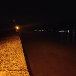 シーバス釣れないのでアジング