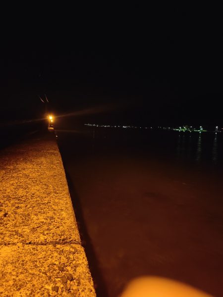 シーバス釣れないのでアジング