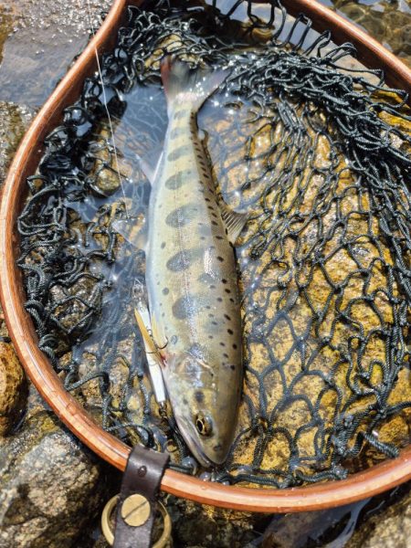 海から川へ走ります