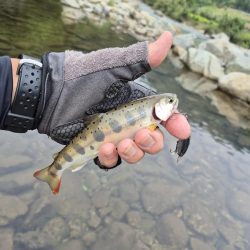 朝から入ってみた