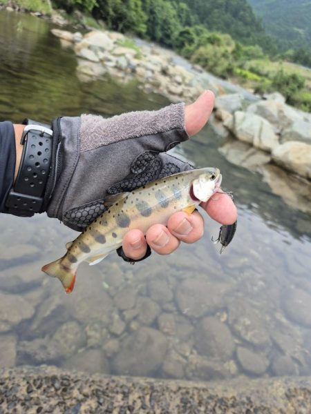 朝から入ってみた