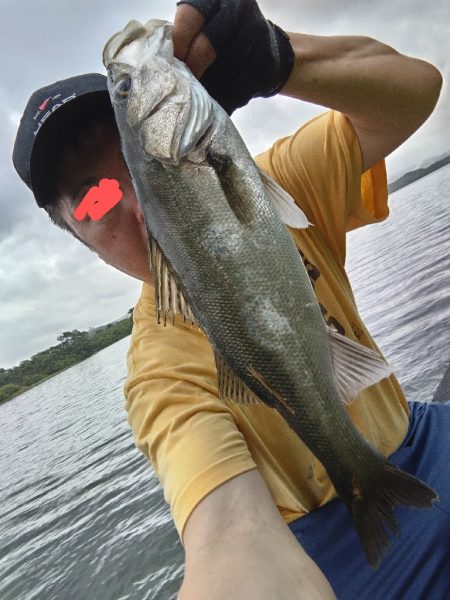 マルスズキ（セイゴ）が釣れました。