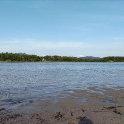 チヌとヒラセイゴが釣れました!