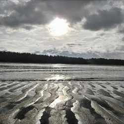 マゴチとヒラセイゴ釣れました!