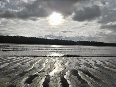 マゴチとヒラセイゴ釣れました!