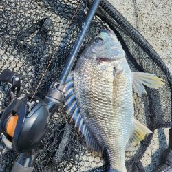 ツ抜け市内チニング