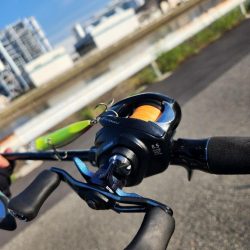 クロスウェイクチニング