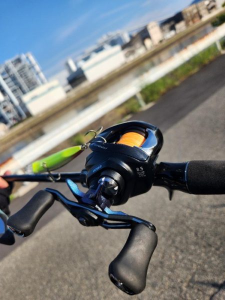 クロスウェイクチニング