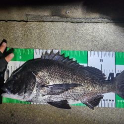 ボトム、プラグチニング