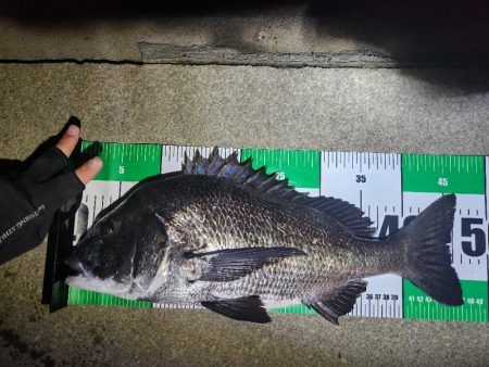 ボトム、プラグチニング