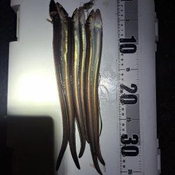 食いの悪い穴子釣り