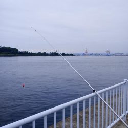 雨上がり短時間勝負