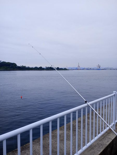 雨上がり短時間勝負