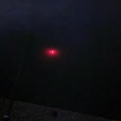 イカのウキ釣りに挑戦!