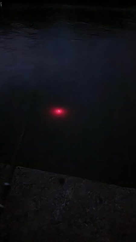 イカのウキ釣りに挑戦!