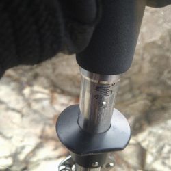 ロックショアでモンスター