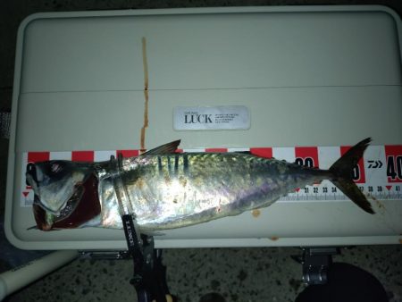 昨日のリベンジ釣行🎣