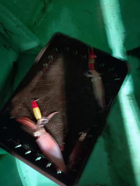 浜田沖でのイカメタル