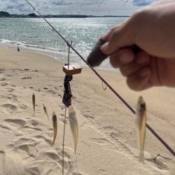 今日は小型メインでした