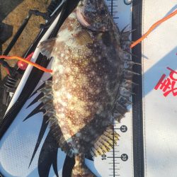 和歌山市江(吉丸渡船)の磯で夜釣り