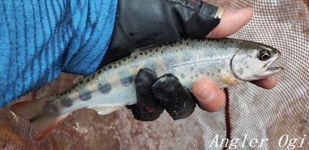 渇水、梅雨はどこへ？