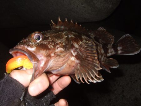 かなり減ったかな