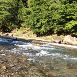 今シーズン初釣行！