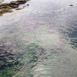 みなべ周辺ランガン釣行