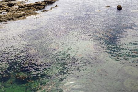 みなべ周辺ランガン釣行