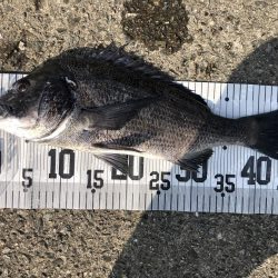 イチノ兄弟、釣果！