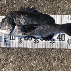 イチノ兄弟、釣果！