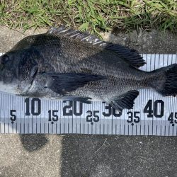 イチノ兄弟、釣果!