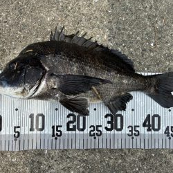 イチノ兄弟、釣果!