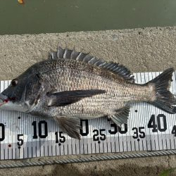 イチノ兄弟、釣果!