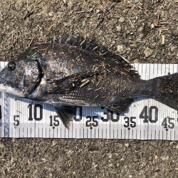 イチノ兄弟、釣果！